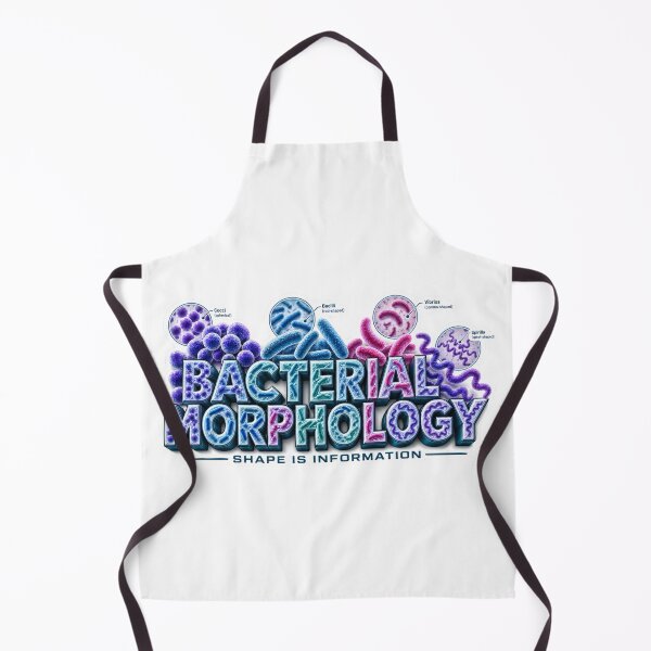 Item preview, Bacterial Morphology Shape Is Information designed and sold by pradeepvisuals.