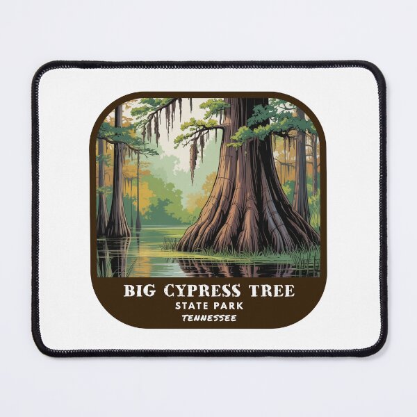 Item preview, Big Cypress Tree State Park (Tennessee) designed and sold by RabbitK.