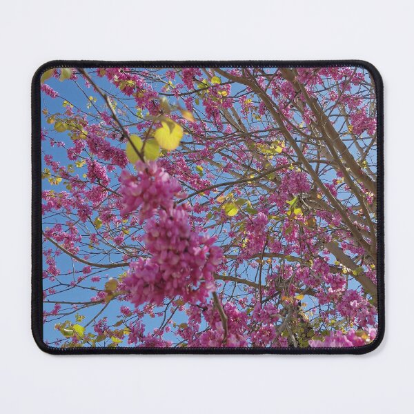 Item preview, European Cercis designed and sold by Lunar-Dragon.