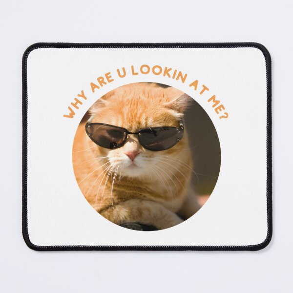 Item preview, Ginger Cat Side Eye Funny Orange Tabby Kitten Stare Down Cute Pet Humor Gift | Limited Edition designed and sold by tlcgiftcenter.