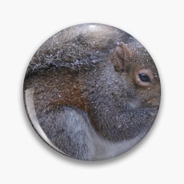 Item preview, Winter Squirrel designed and sold by MelKowasic.