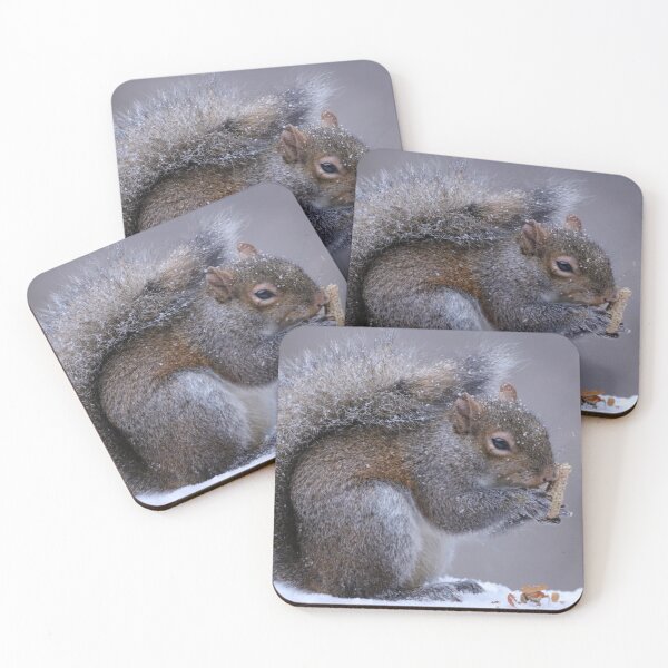 Item preview, Winter Squirrel designed and sold by MelKowasic.