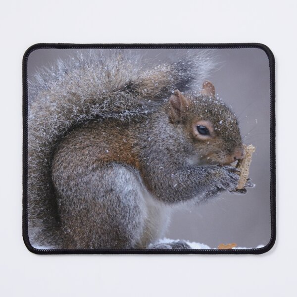 Item preview, Winter Squirrel designed and sold by MelKowasic.