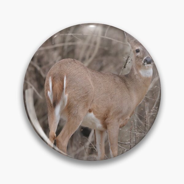 Item preview, Whitetail Deer designed and sold by MelKowasic.