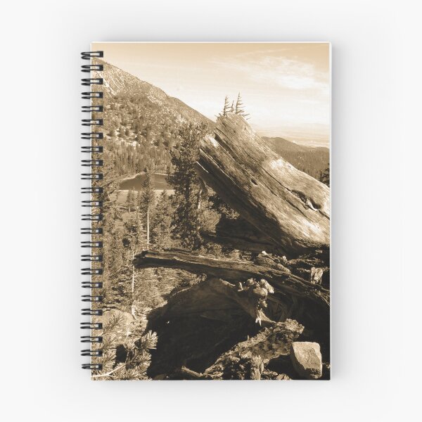 Item preview, Vista from Mount Rose designed and sold by Robert Ball.