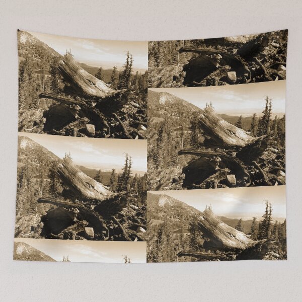 Item preview, Vista from Mount Rose designed and sold by Robert Ball.