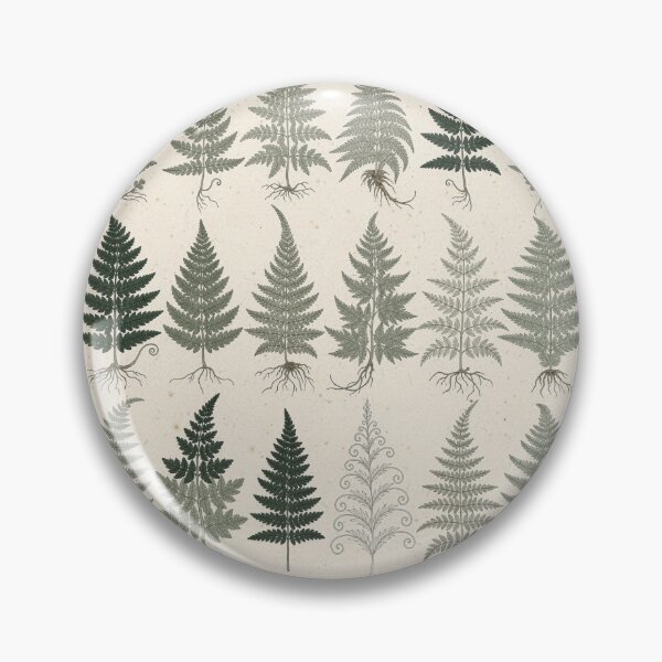 Item preview, Vintage Fern Botanical Chart designed and sold by PictorialWhimsy.
