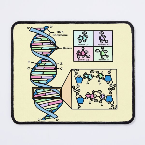 Item preview, DNA Diagram Genetics Illustration designed and sold by BundaBear.