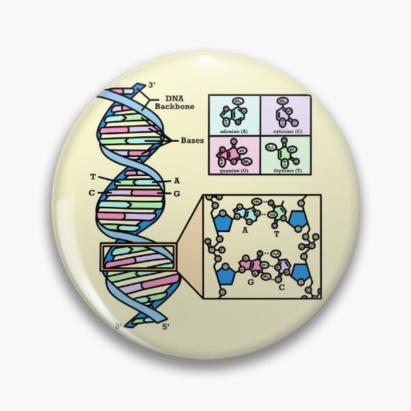 Item preview, DNA Diagram Genetics Illustration designed and sold by BundaBear.