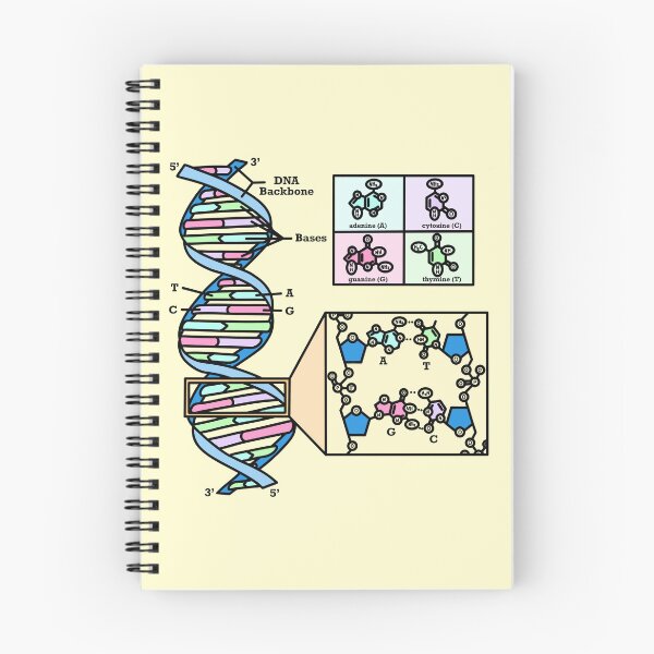 Item preview, DNA Diagram Genetics Illustration designed and sold by BundaBear.