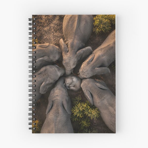 Item preview, Elephant herd in a circle, seen from a bird's-eye view designed and sold by Fotografin1981.