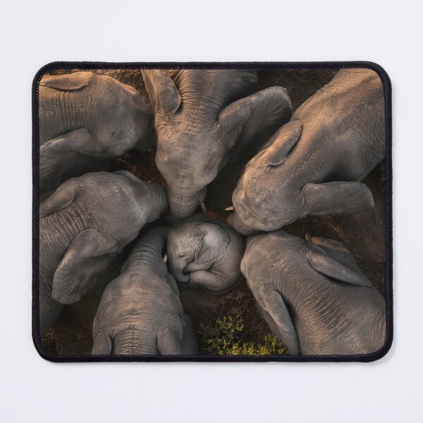 Item preview, Elephant herd in a circle, seen from a bird's-eye view designed and sold by Fotografin1981.