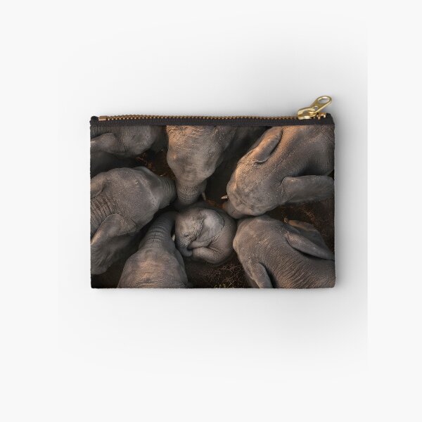 Item preview, Elephant herd in a circle, seen from a bird's-eye view designed and sold by Fotografin1981.