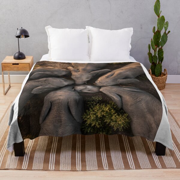 Item preview, Elephant herd in a circle, seen from a bird's-eye view designed and sold by Fotografin1981.