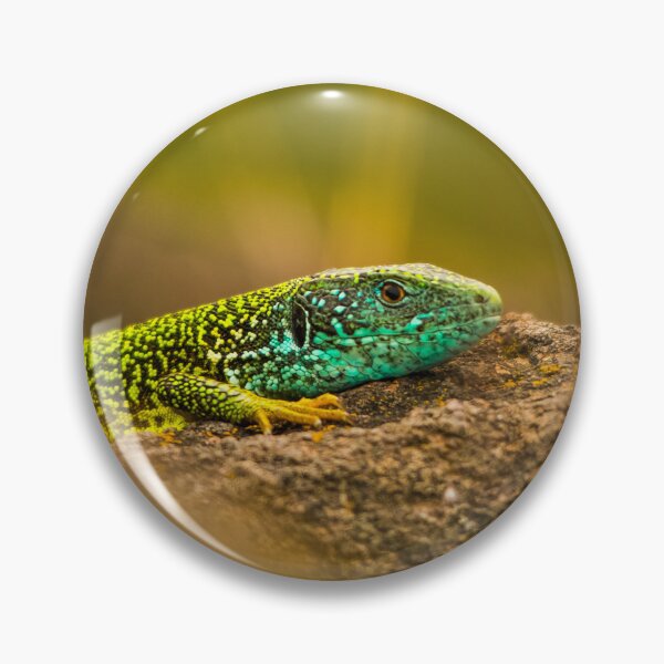 Item preview, Emerald Portrait-european green lizard designed and sold by gabormedve.