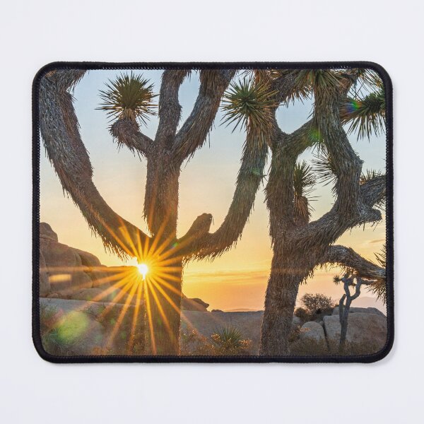 Item preview, Joshua Tree Golden Hour Sunrise Photography designed and sold by Wild Afterglow.