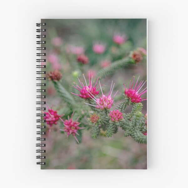 Item preview, Oldfield's Darwinia  – Fine Art Print designed and sold by MinzMarchStudio.