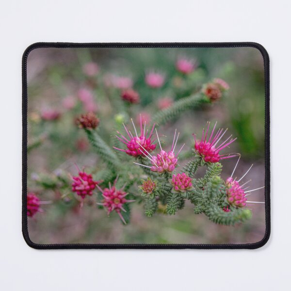 Item preview, Oldfield's Darwinia – Fine Art Print designed and sold by MinzMarchStudio.
