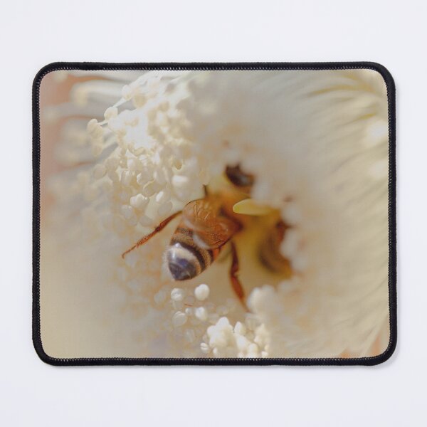 Item preview, Honeybee on Eucalyptus Kingsmillii Blossom - Golden Pollinator - Fine Art Print designed and sold by MinzMarchStudio.