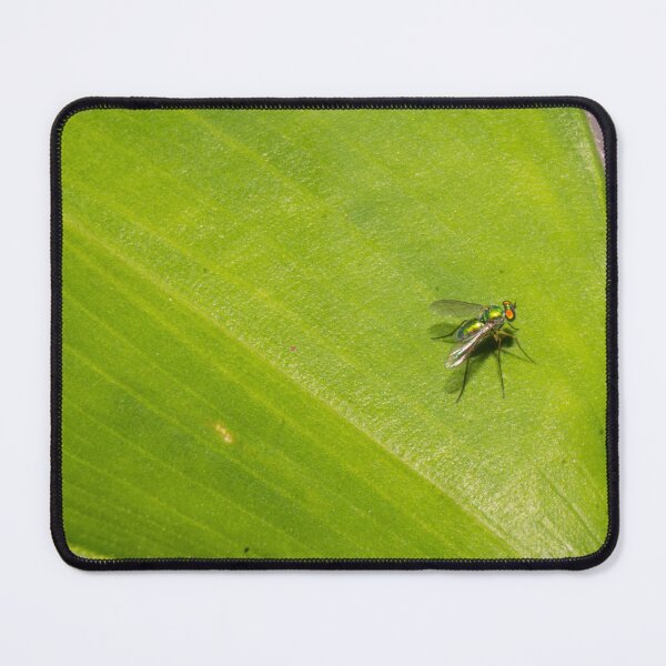 Item preview, long-legged fly_02 designed and sold by ROSE ANN BANILAR.
