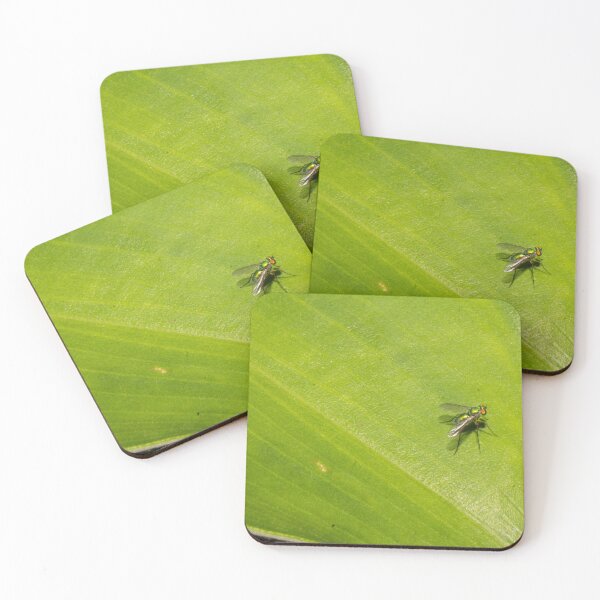 Item preview, long-legged fly_02 designed and sold by ROSE ANN BANILAR.