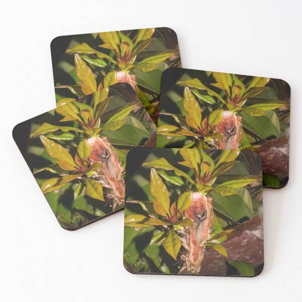 Item preview, Rose Cactus designed and sold by ROSE ANN BANILAR.