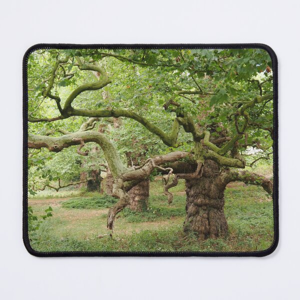 Item preview, Midhurst Tree designed and sold by dagabhriel.