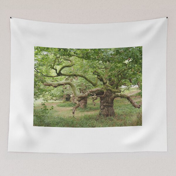 Item preview, Midhurst Tree designed and sold by dagabhriel.