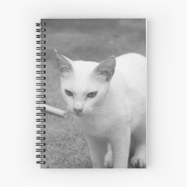 Item preview, B&W - Domestic Shorthair White Cat designed and sold by ROSE ANN BANILAR.