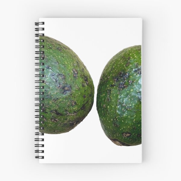 Item preview, two fresh whole green avocados designed and sold by pipikijung.