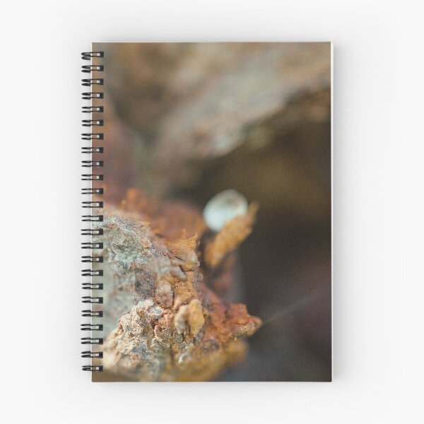 Item preview, Macro  designed and sold by Jodie Cooper.