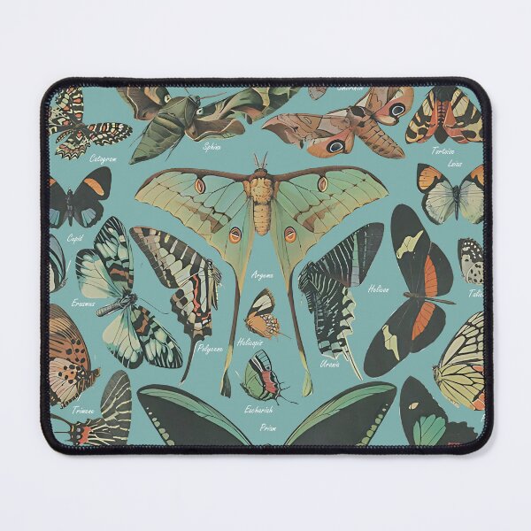 Item preview, Vintage Butterfly Moth Collection Scientific Nature Botanical Specimen Graphic designed and sold by Miniadecal.