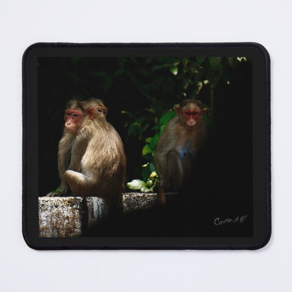 Item preview, Monkey family designed and sold by CaitieCreatives.