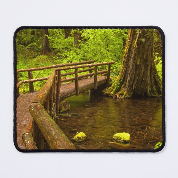 Item preview, Wooden Footbridge in Lush Forest designed and sold by jklune.