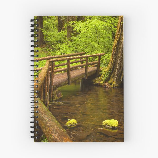 Item preview, Wooden Footbridge in Lush Forest designed and sold by jklune.