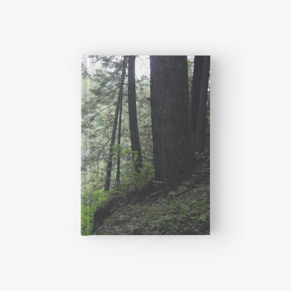 Misty Forest Hardcover Journal