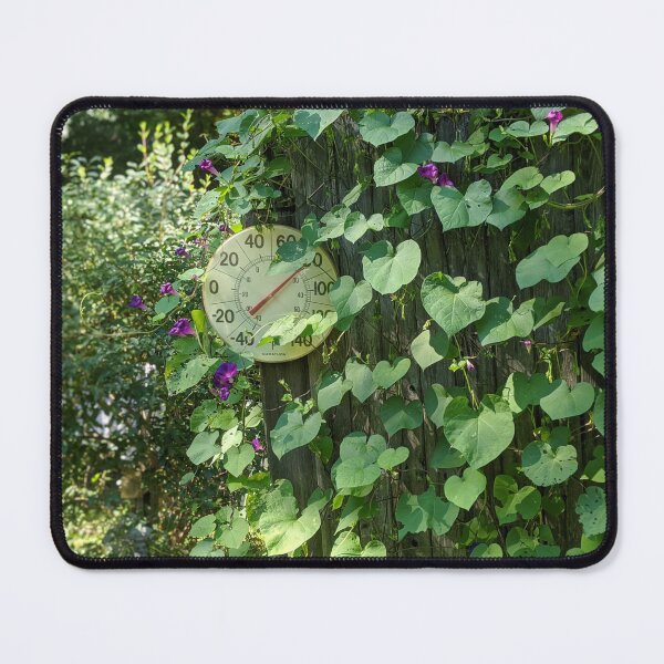 Item preview, A Morning Glory’s Keep designed and sold by Jkund19.