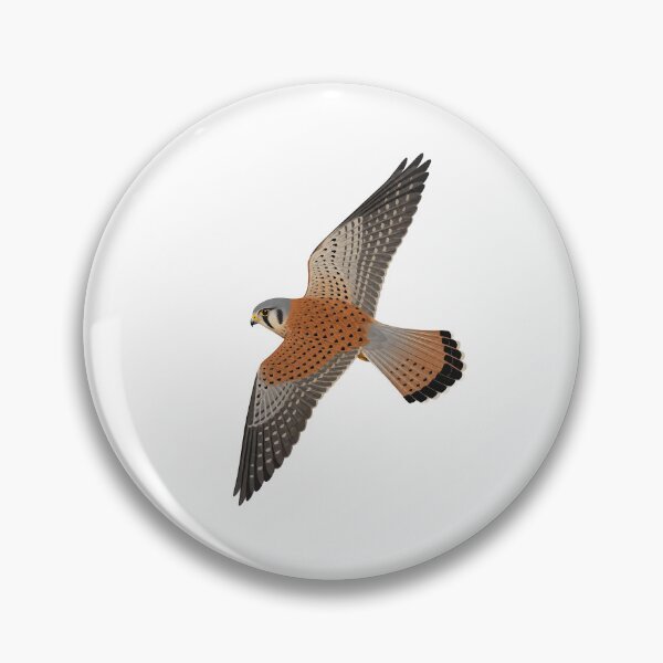 Item preview, Kestrel designed and sold by jamesgerardking.