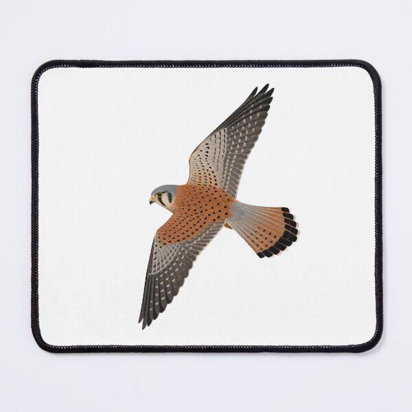 Item preview, Kestrel designed and sold by jamesgerardking.