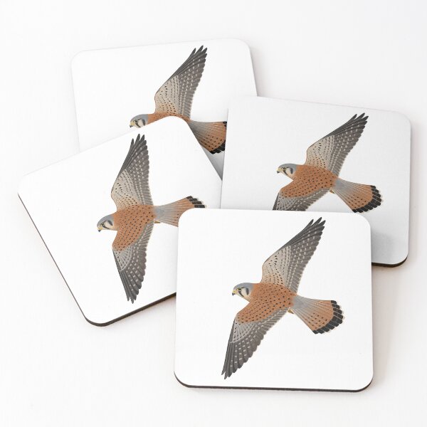 Item preview, Kestrel designed and sold by jamesgerardking.
