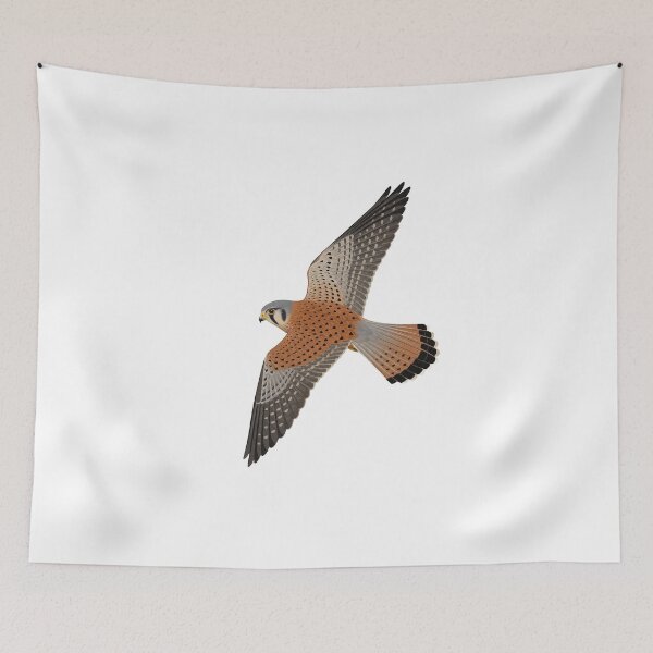 Item preview, Kestrel designed and sold by jamesgerardking.