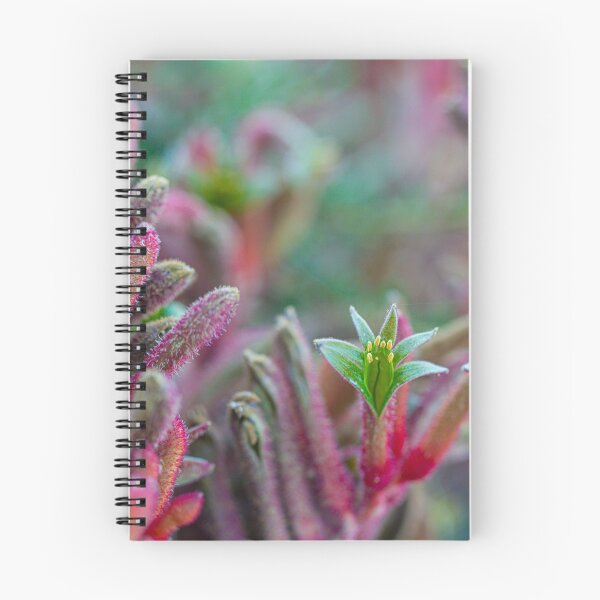 Item preview, Pink and Green Kangaroo Paw Anigozanthos Velvet - Fine Art Print  designed and sold by MinzMarchStudio.