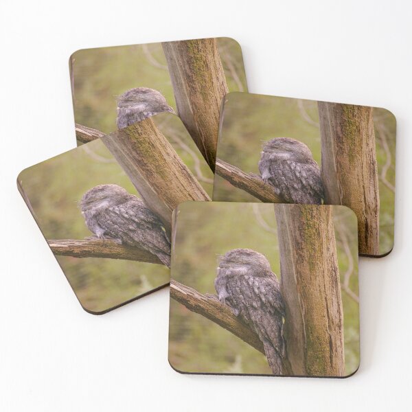 Item preview, Tawny Frogmouth Camouflage Portrait - Whispering Bark - Fine Art Print designed and sold by MinzMarchStudio.