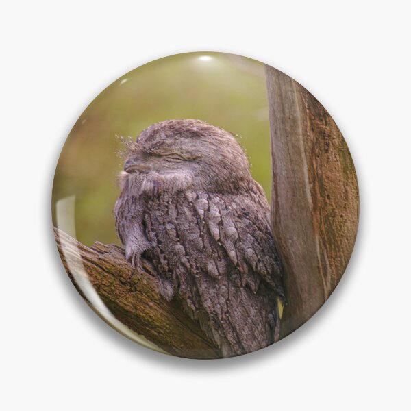 Item preview, Tawny Frogmouth Camouflage Portrait - Whispering Bark - Fine Art Print designed and sold by MinzMarchStudio.