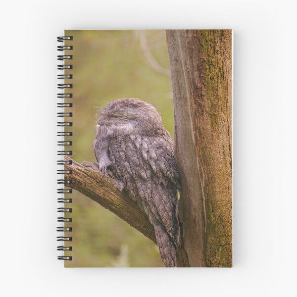 Item preview, Tawny Frogmouth Camouflage Portrait - Whispering Bark - Fine Art Print designed and sold by MinzMarchStudio.