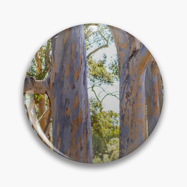 Item preview, Kings Park Eucalyptus Trees Western Side - Bushland Vistas - Fine Art Print designed and sold by MinzMarchStudio.