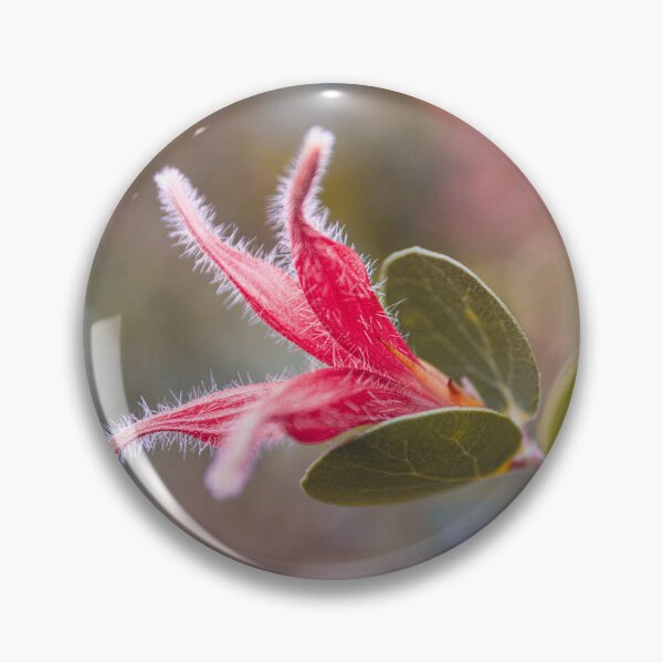 Item preview, Round Leaf Honeysuckle Wildflower - Velvet Blossoms - Fine Art Print designed and sold by MinzMarchStudio.
