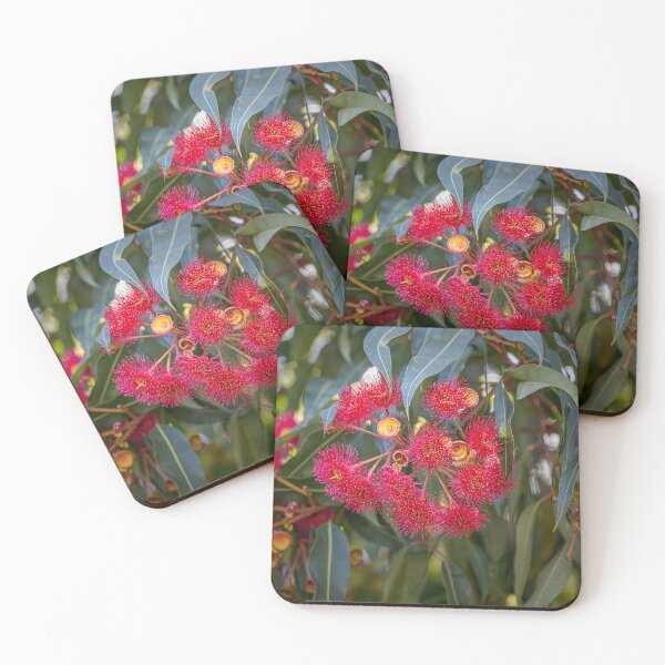 Item preview, Red-Flowering Gum Corymbia ficifolia Blossom – Fine Art Print designed and sold by MinzMarchStudio.