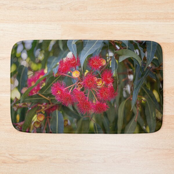 Item preview, Red-Flowering Gum Corymbia ficifolia Blossom – Fine Art Print designed and sold by MinzMarchStudio.
