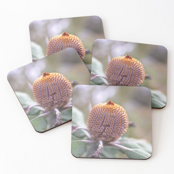 Item preview, Scarlet Banksia coccinea Bud Macro  – Fine Art Print designed and sold by MinzMarchStudio.
